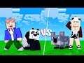 PANDA VS. KOALA!