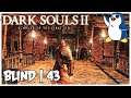 Hot hot hot - Iron Keep - Dark Souls 2: Scholar of the First Sin 43 (Blind / PC)