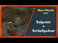 Salpeter finden + Schießpulver herstellen [Guide] - New World [Deutsch/German]