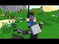 Steve vs Pillager Life (Minecraft Animation)