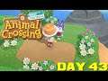 Animal Crossing: New Horizons Day 43