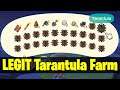 LEGIT Tarantula Farming | Animal Crossing: New Horizons