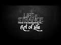 Life is Strange: From the Beginning to... #33 [Art of Life]