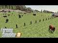Nowe Pastwiska. SEASONS 19.  #100 Felsbrunn ☆ Farming Simulator 19  ☆ ㋡ Anton