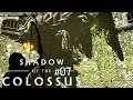 Shadow of the Colossus #07 🏹 Kampf in der Arena