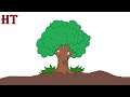 Simple Tree Drawing Easy for Beginners || How to draw a tree step by step