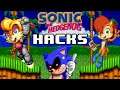 Sonic The Hedgehog HACKS!