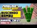 #Directo Survival 1.15 - Capítulo 7 -  Minecraft