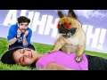 IS MY DOG EVIL? Rescuing YouTuber Daniel's Dog Douglas After Trapped for 3 Years