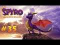 Schmelzkrater 🐉 Spyro Reignited Trilogy #35 [Spyro Year of the Dragon] [100%/blind/deutsch/2k]