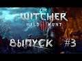 The Witcher 3 Wild Hunt Прохождение ► Лихо у колодца #3