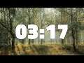 3 MINUTES AND 17 SECONDS TIMER COUNTDOWN [197 seconds - 3:17]