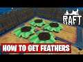HOW TO GET FEATHERS IN RAFT | RAFT TUTORIAL #20