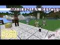 Mulenjas Resort 2.0 #263 - Neue Ideen und Unsicherheit | Minecraft 1.16