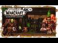 WOW SHADOWLANDS 4K ᵁᴴᴰ 60ᶠᵖˢ 9.1.5 Priest Gameplay PVP - Rival II (1950)