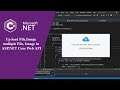 ASP.NET Core - How to upload file multiple file in Web API