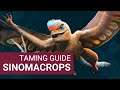 HOW TO TAME A HIGH LEVEL SINOMACROPS - Taming Guide | LOST ISLAND | ARK Survival Evolved
