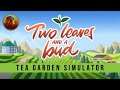 Have A Spot Of Tea | Two Leaves and a Bud
