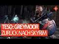 The Elder Scrolls Online: Greymoor - Zurück nach Skyrim! | Review