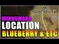 Windsward Blueberry, Squash & Corn Location New World