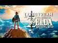 CZ | Záznam z Livestreamu | The Legend of Zelda: Breath of the Wild | 1080p60 | Posvátný Naboris