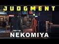 Masakazu Nekomiya - Find the Calico, the Tabby & the Black Cat | Judgment (Friend Event)