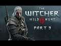SingSing The Witcher 3: Wild Hunt - Part 3