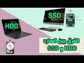 فرق بين هارديسك في السرعة ssd و hdd