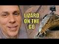 STRAPPED A GoPro on my GIANT LIZARD and LET  IT LOOSE IN MY NEW  REPTILE ZOO!! | BRIAN BARCZYK