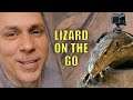STRAPPED A GoPro on my GIANT LIZARD and LET IT LOOSE IN MY NEW REPTILE ZOO!! | BRIAN BARCZYK