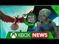 XBOX NEWS — NOVOS JOGOS SENDO LIBERADOS NO GAMEPASS!