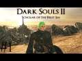 Dark Souls II: Single or Co-op?