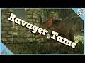 How To Tame A Ravager - Ark: Aurvival Evovled - How To Tame