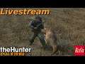Hunter Call Of The Wild Multiplayer Livestream