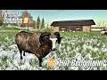 Kupno barana i jego leczenie.. -  Hof Bergmann -  ☆ Farming Simulator 19 ☆  #54 ㋡ Anton