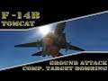 Basic Fundamentals DCS World: F 14B - Tomcat  Ground Attack CCRP