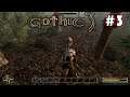 Gothic 3 Enhanced edition - Parte #3: Caçando javalir selvagens e orcs