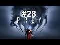 Let's play Prey (2017) [BLIND+HARD] #28 - Better safe than sorry