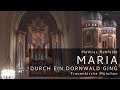 Mathias Rehfeldt | Maria durch ein Dornwald ging (Frauenkirche München | Orgel: Hans Leitner)