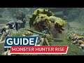Monster Hunter Rise Guide : Tipps für die Monsterjagd in Kamura