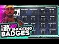 *NEW* NBA 2K20 BEST SHOOTING BADGES TO SHOOT ALL GREENS! BEST SHOOTING BADGE SET UP!