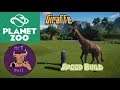 Planet Zoo Giraffe Speed Build