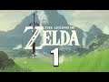 The Legend of Zelda: Breath of The Wild - Full Live Playthrough Part 1 | Lets get started!