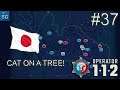 112 OPERATOR - IN SENDAI/MORIOH, JAPAN CAT ON A TREE! #37
