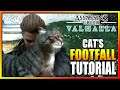 Assassin's Creed Valhalla - A Cat's Footfall Walkthrough (Cat Locations) Asgard