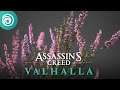 Behind the scenes: the creation of the flora in Assassin’s Creed Valhalla