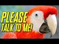 Hello. I'm A Talking Parrot. Please Talk To Me! | Retro HYPE!