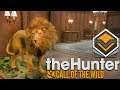 Hunting Diamond Rating Lions & Bears! The Hunter Call Of The Wild