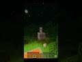 Minecraft Saving Cat or Dog // Wait for it // #Shorts