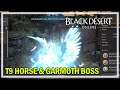T9 Horse Attempt #18 & Garmoth Boss - Black Desert Online